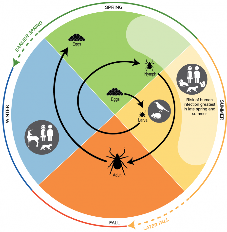 Chapter 5: Vector-Borne Diseases | Climate and Health Assessment