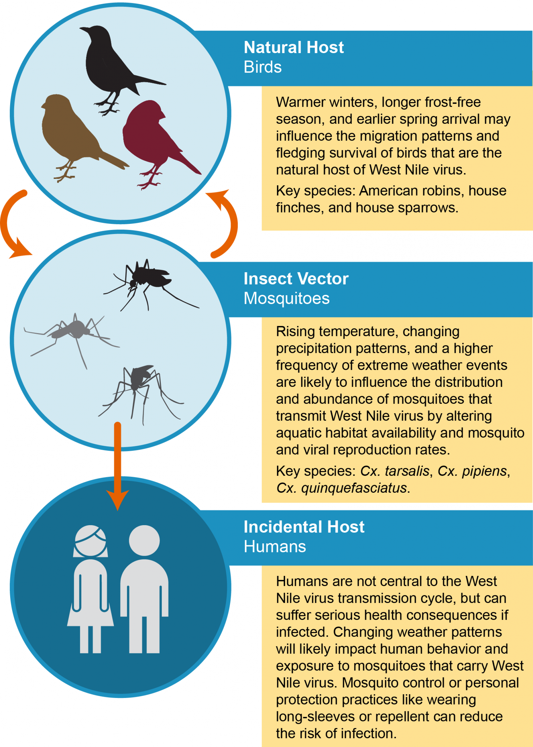 Chapter 5: Vector-Borne Diseases | Climate and Health Assessment